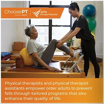 Physical Therapists Image